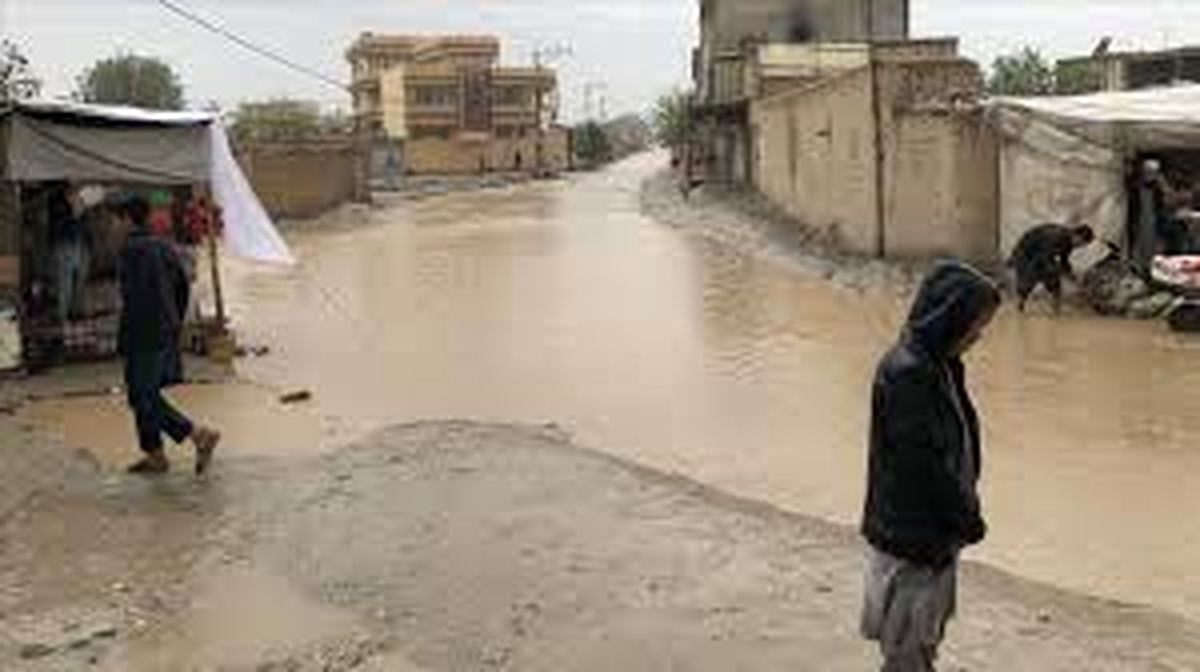 نداف کرمانی
