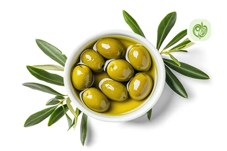 مصرف زیتون در قالب برنامه غذایی سالم به کاهش وزن کمک می&zwnj;کند.