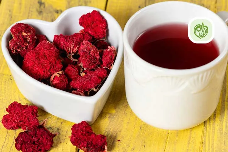 گلنار فارسی در واقع گل درخت نر انار است.