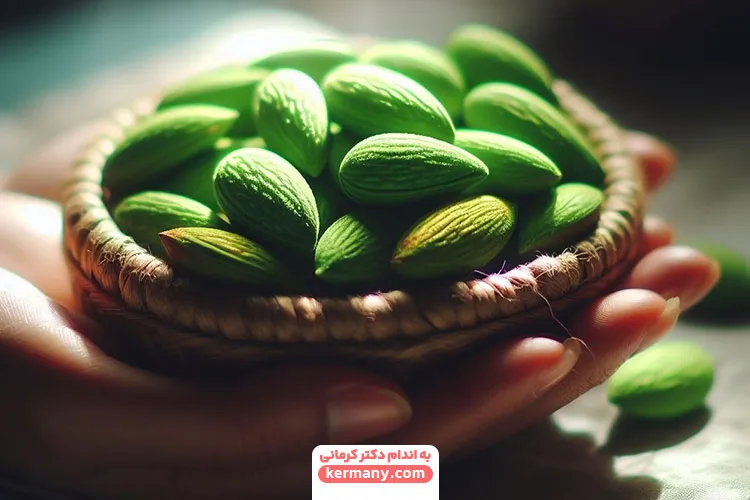 بهترین زمان مصرف چغاله بادام