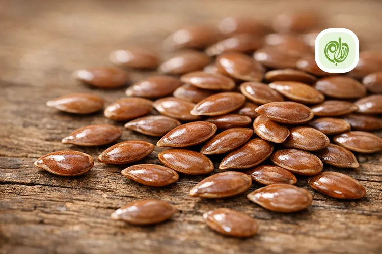 اینفوگرافیک خواص بذرکتان برای لاغری