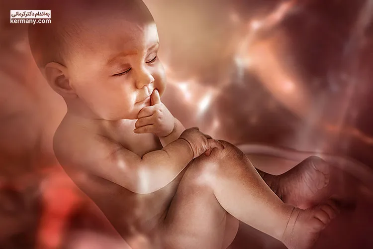 دانه چیا برای رشد جنین