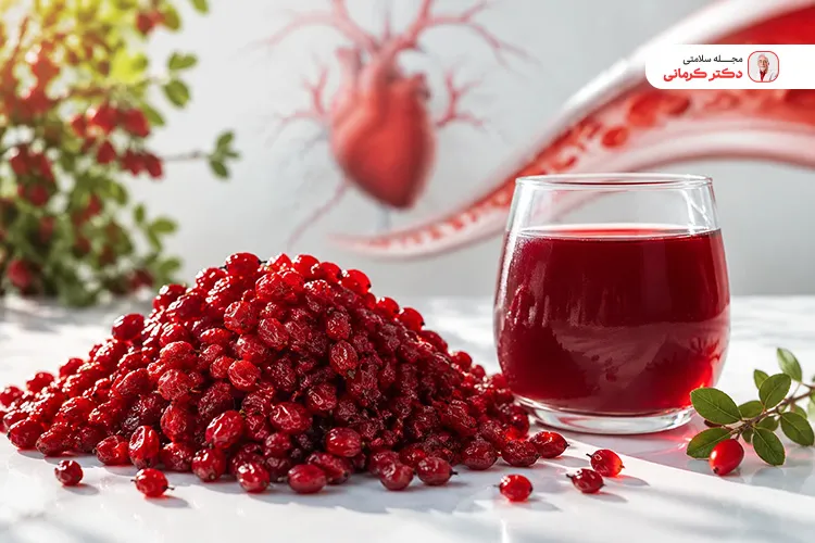خواص زرشک برای کاهش چربی خون