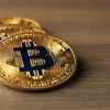 ارزش بیت&zwnj;کوین برای اولین بار در دو سال گذشته به زیر ۶۰ هزار دلار رسید | دیجینوی