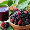 خواص شاتوت چیست؟