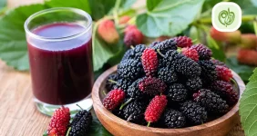 خواص شاتوت چیست؟