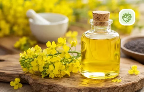خواص روغن کانولا