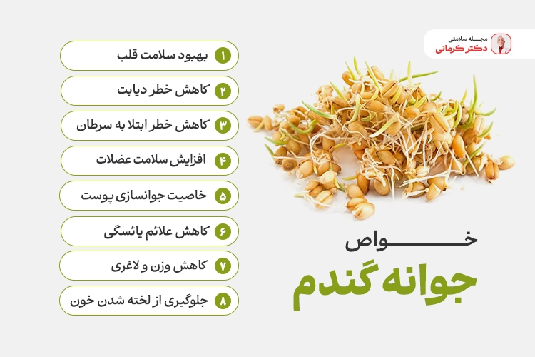 خواص جوانه گندم و پودر آن برای سلامتی