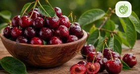 خواص گیلاس چیست