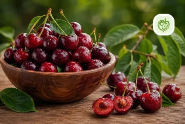 مقاله خواص گیلاس