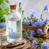 فواید عرق کاسنی