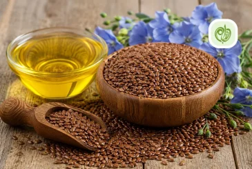 مقاله خواص تخم کتان