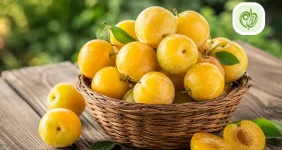 آلو زرد چیست؟ آیا همان زردآلو است؟
