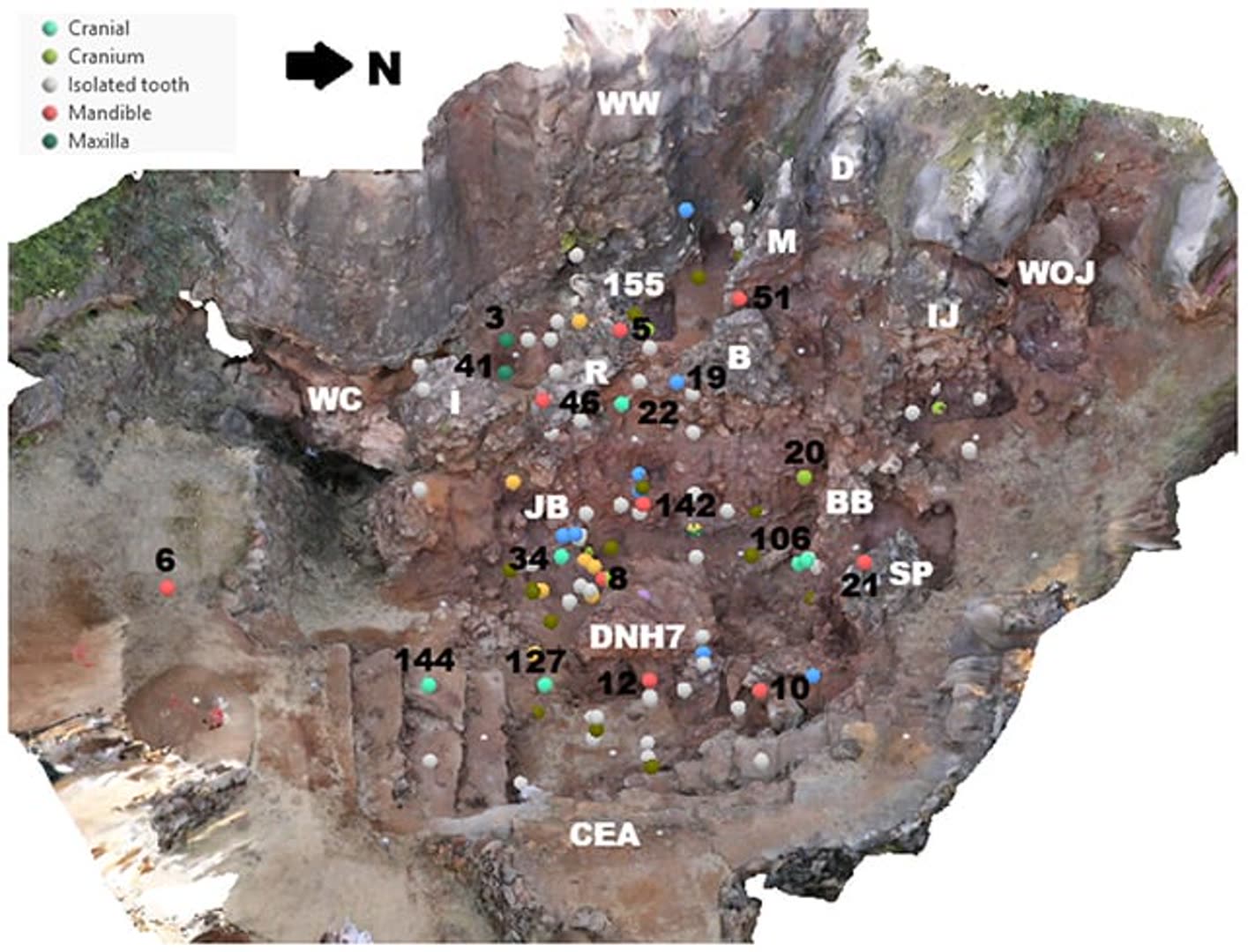 DrimolenSite_1 فسیل جدید نشان میدهد یکی از نیاکان انسان ۲۰۰ هزار سال زودتر از زمان مورد انتظار ظهور کرده است | دیجینوی